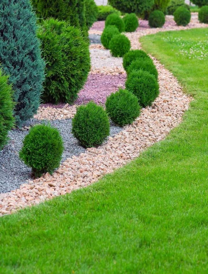 L'entretien de vos espaces verts pour un jardin soigné